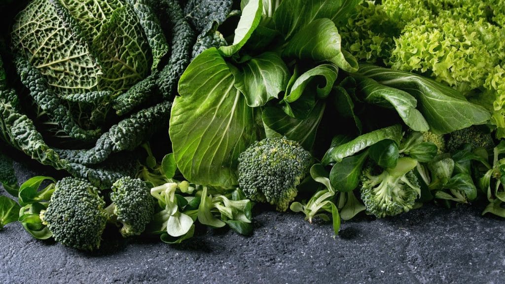 Leafy greens like spinach, kale, and arugula are loaded with vitamins, minerals, and antioxidants. healty food to eat after physitherapy treatment