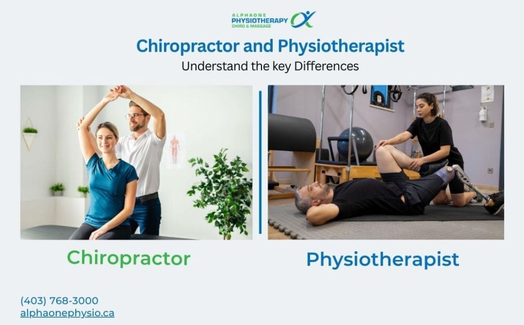 A visual comparison guide illustrating the Difference Between a Chiropractor and Physiotherapist. The image shows a chiropractor performing an arm adjustment on the left and a physiotherapist assisting with a leg stretch on the right.
